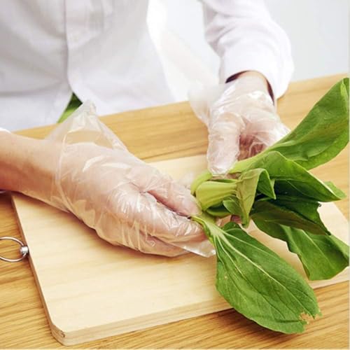 United Disposable Plastic Gloves - 100 Count Clear Food Service for Kitchen, Cooking, Prep, Cleaning and Party | 1 Pack