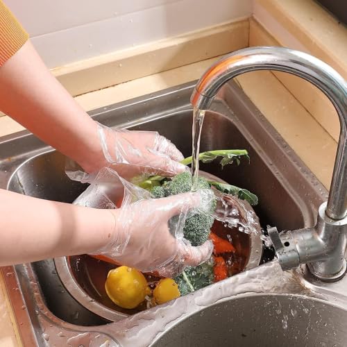 United Disposable Plastic Gloves - 100 Count Clear Food Service for Kitchen, Cooking, Prep, Cleaning and Party | 1 Pack